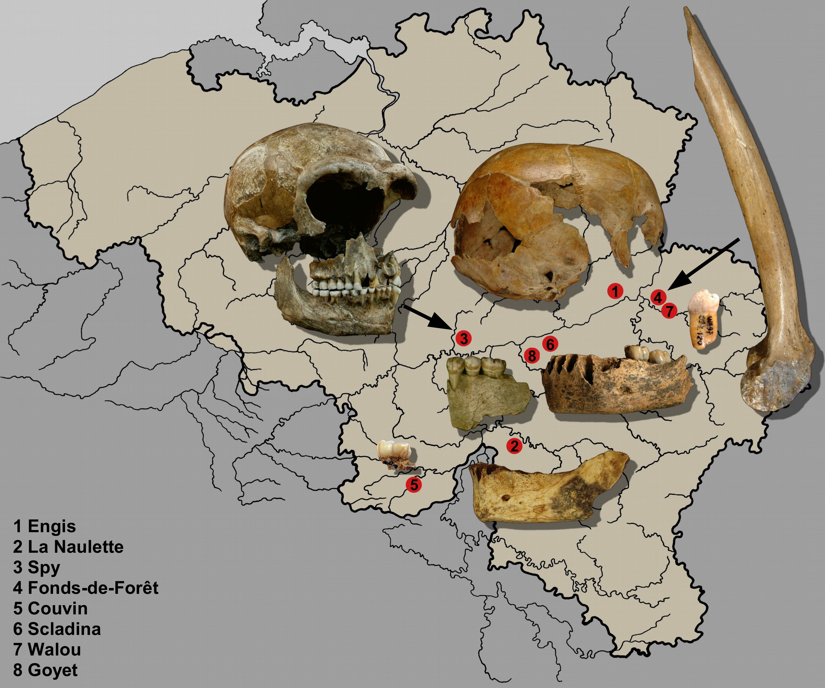 carteBelgique-neandertal.jpg