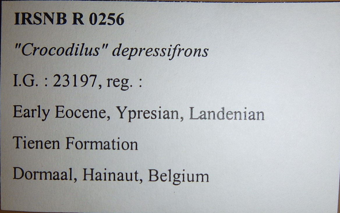 IRSNB R 0256 Labels