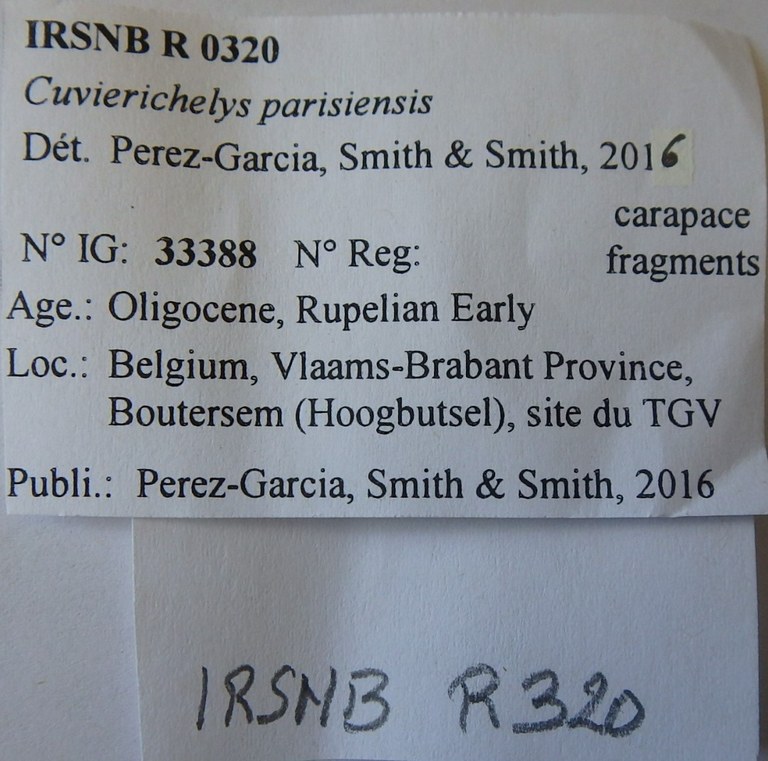 IRSNB R 0320 Labels