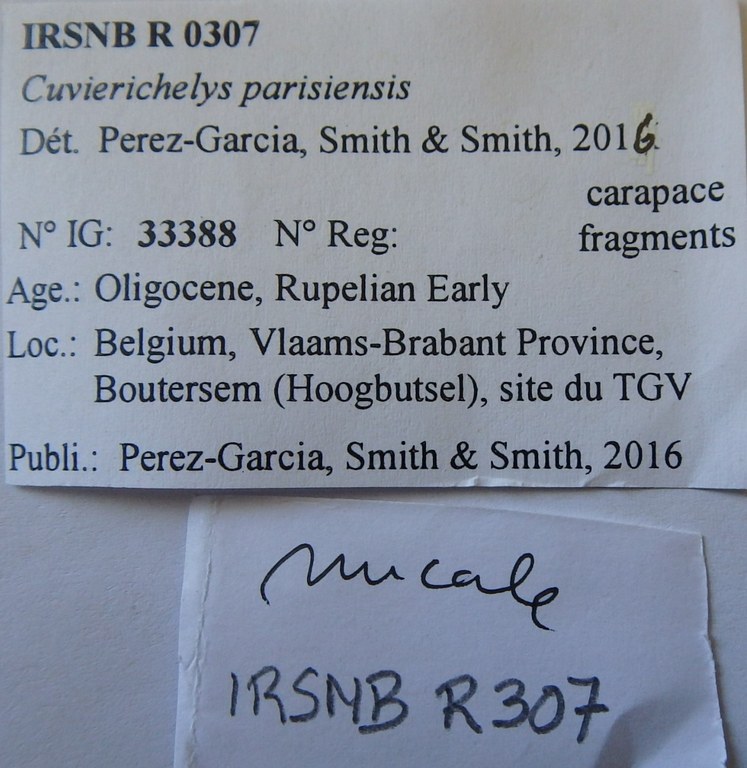 IRSNB R 0307 Labels