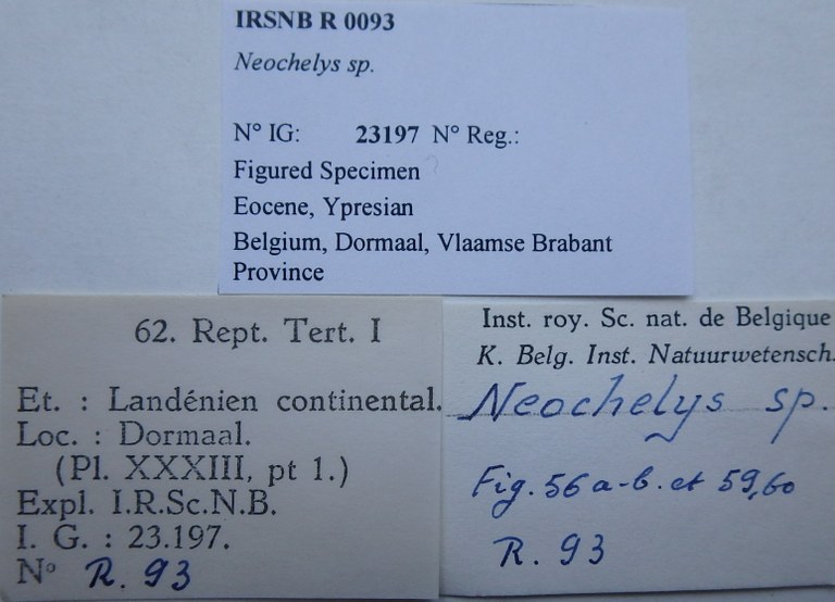IRSNB R 0093 Labels