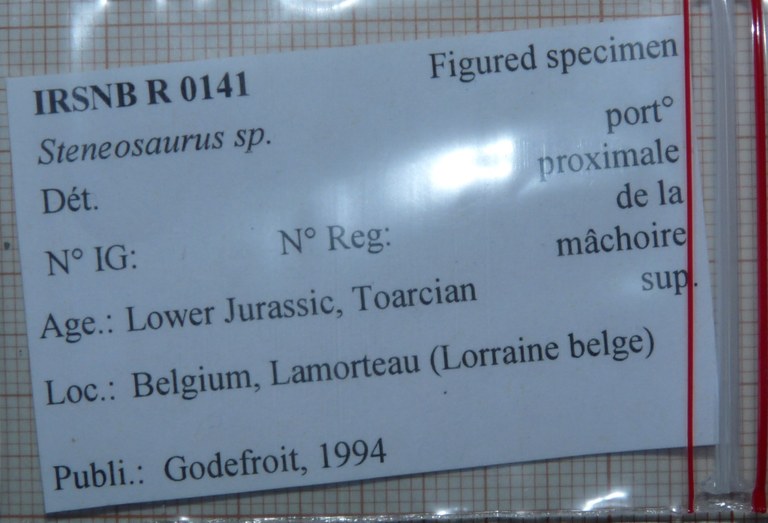 IRSNB R 0141 Labels