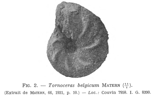 Matern 1931 - Figure 2