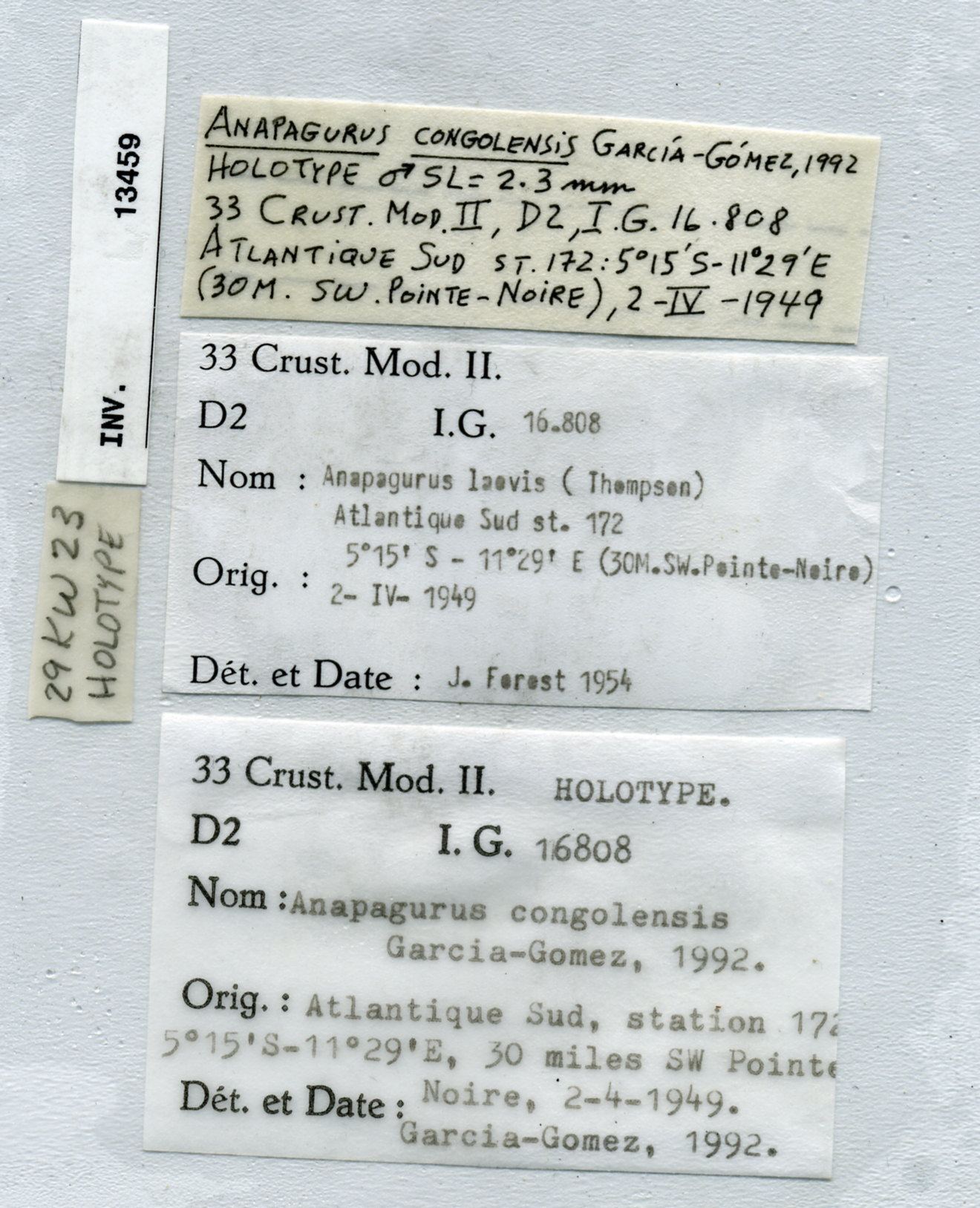 BE-RBINS-INV HOLOTYPE MALE INV.13459 Anapagurus congolensis labels.jpg