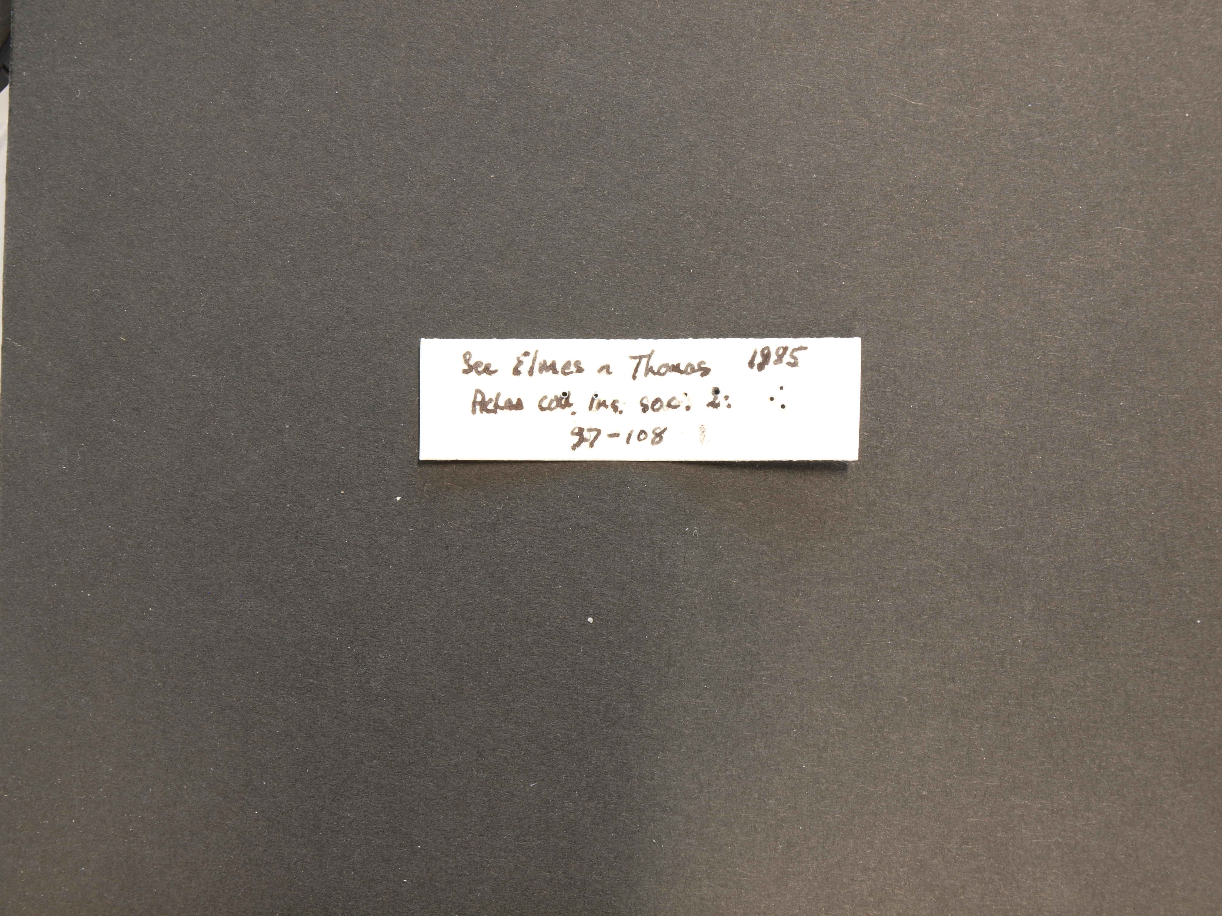B037 Myrmica gallienii Labels.JPG