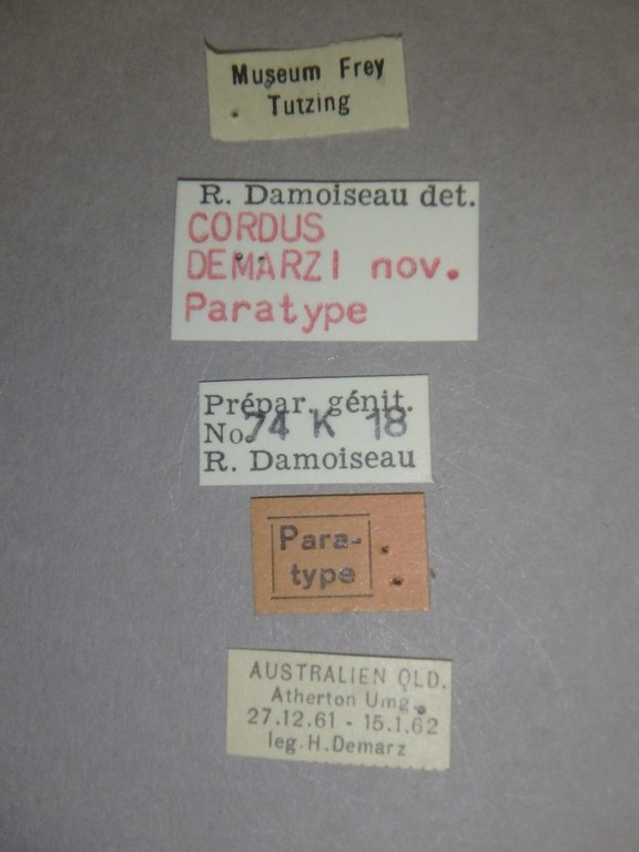 Cordus demarzi pt Labels.jpg