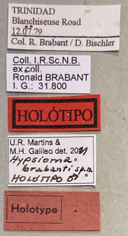 Hypsioma brabanti Ht Labels.jpeg