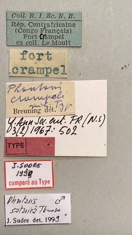 Phantasis crampeli M T Labels.jpeg