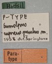 Eumolpus cupreus paulus Pt Labels.jpg
