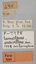 Eumolpus incisellus Pt Labels.jpg