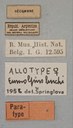Eumolpus linchi F Pt Labels.jpg