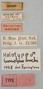 Eumolpus linchi M T Labels.jpg