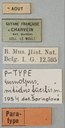 Eumolpus nitidus facilis Pt Labels.jpg