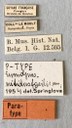 Eumolpus nitidus fascilis Pt Labels.jpeg