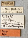 Eumolpus nitidus fascilis Pt Labels.jpeg