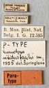 Eumolpus nitidus fascilis Pt Labels.jpeg