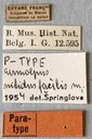 Eumolpus nitidus fascilis Pt Labels.jpeg