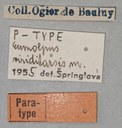 Eumolpus viriditarsis Pt Labels.jpg