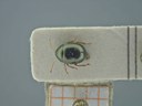 BE-RBINS-ENT Antitypona saltatoria K30_D01_029 Dorsal.jpg