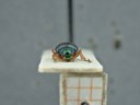 BE-RBINS-ENT Percolaspis godmani doloresa K30_D04_033 Frontal.jpg