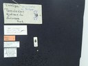 BE-RBINS-ENT Percolaspis godmani doloresa K30_D04_043 Label.JPG