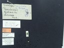 BE-RBINS-ENT Percolaspis godmani doloresa K30_D04_054 Label.JPG