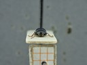 BE-RBINS-ENT Percolaspis godmani doloresa K30_D04_074 Frontal.jpg