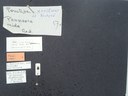 BE-RBINS-ENT Percolaspis godmani doloresa K30_D04_082 Label.JPG