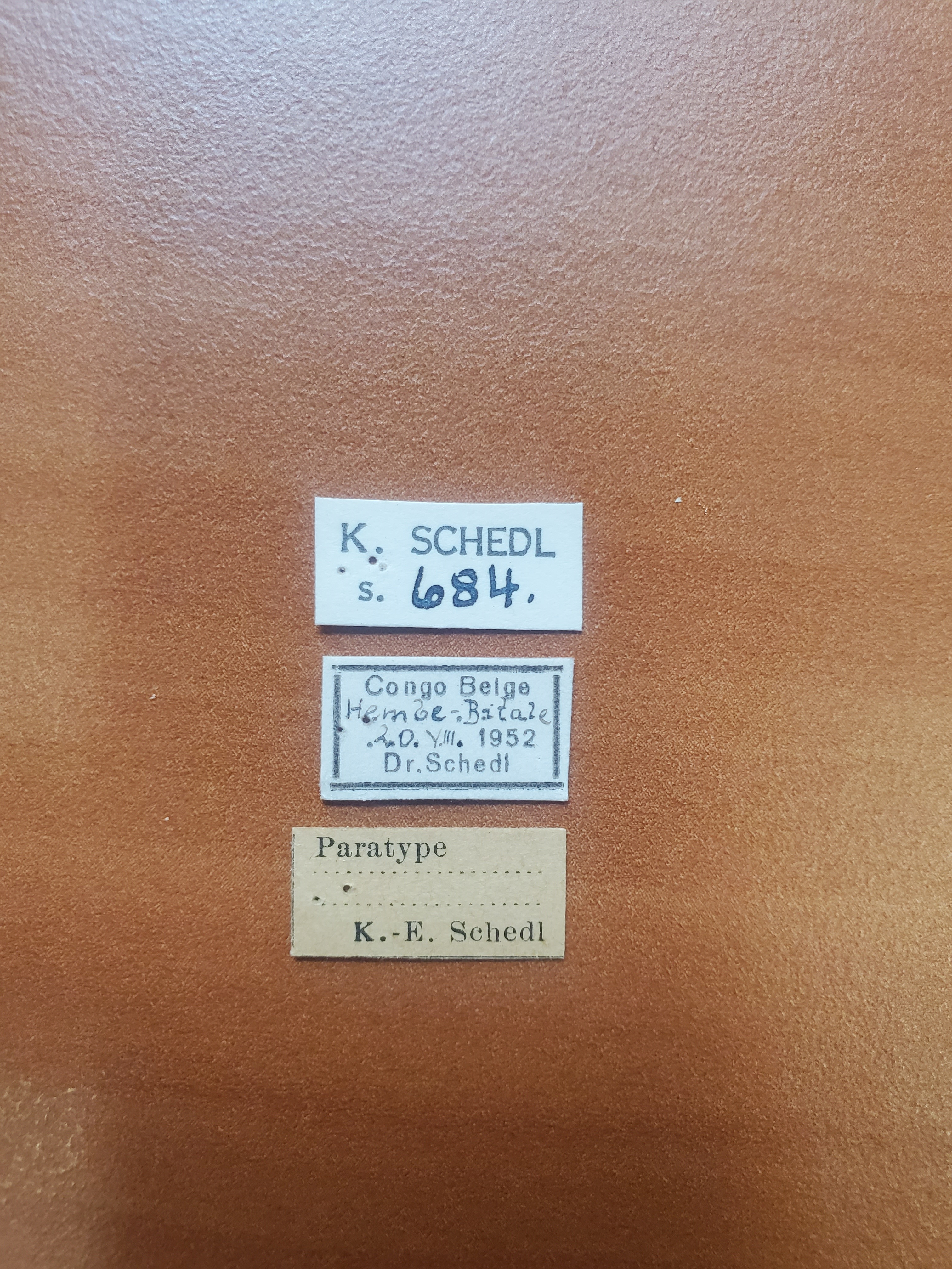 Platypus interpositus pt Labels