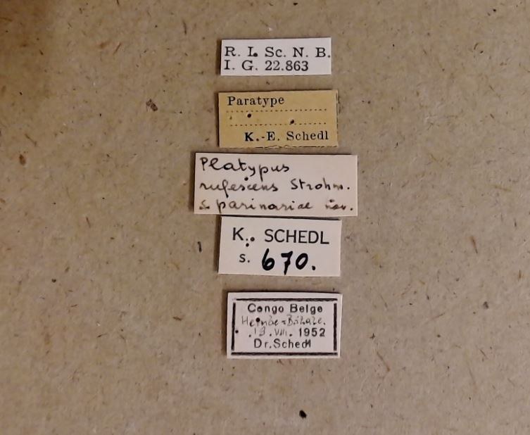 Platypus parinariae pt Labels