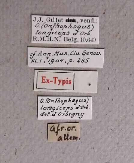 Onthophagus (Onthophagus) longiceps et Labels