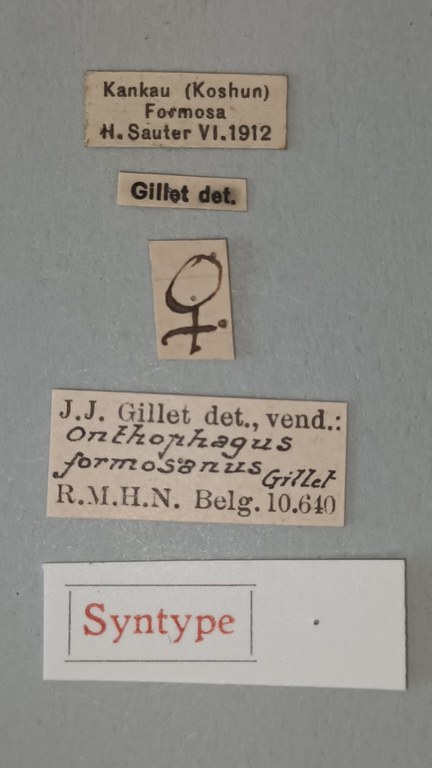Onthophagus formosanus St Labels.jpg Onthophagus formosanus St Labels.jpg
