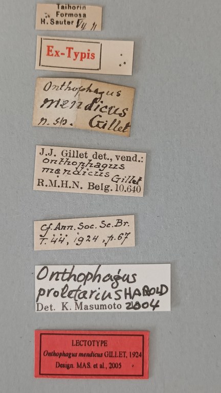 Onthophagus mendicus Lt Labels.jpg