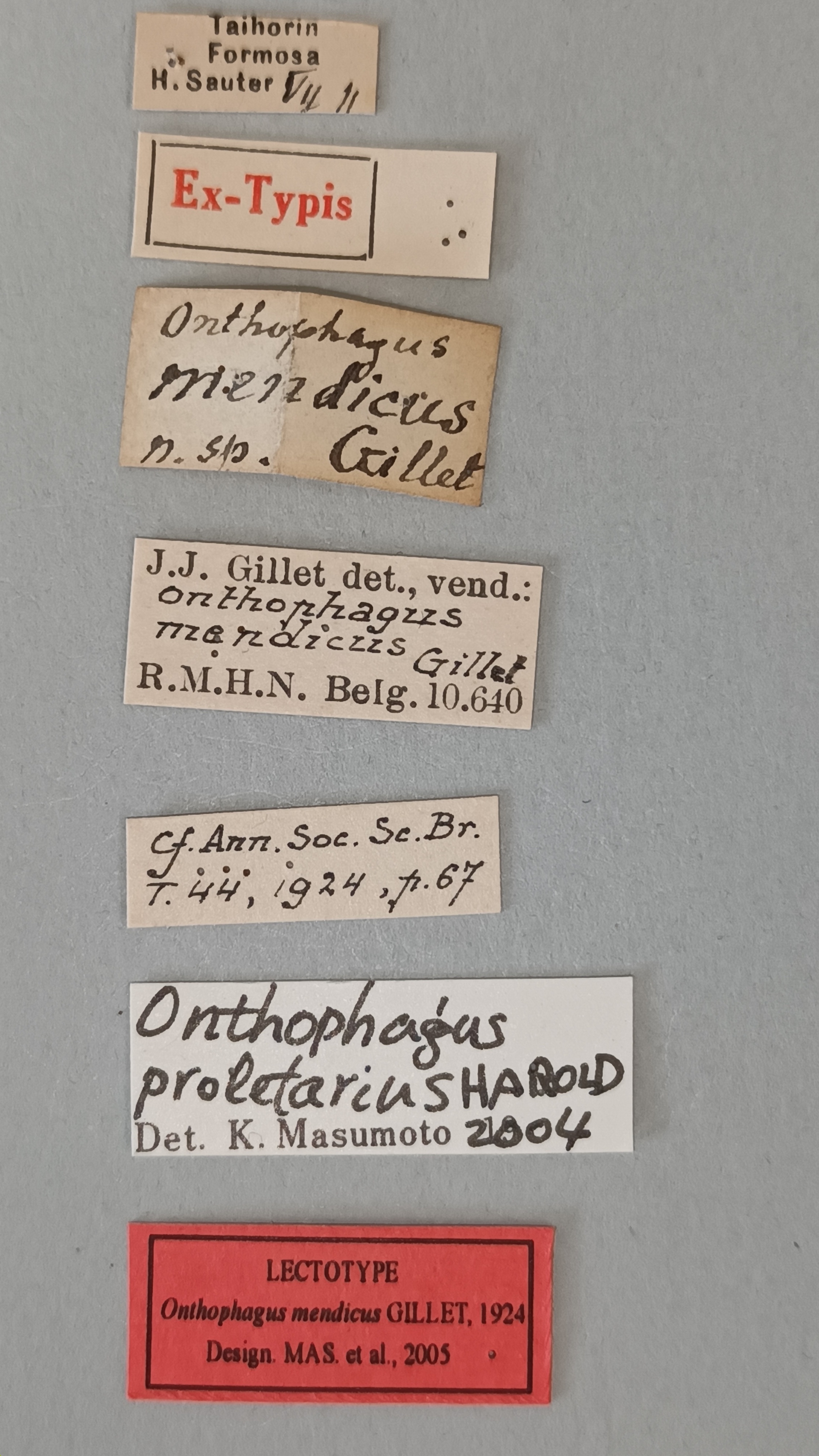 Onthophagus mendicus Lt Labels.jpg