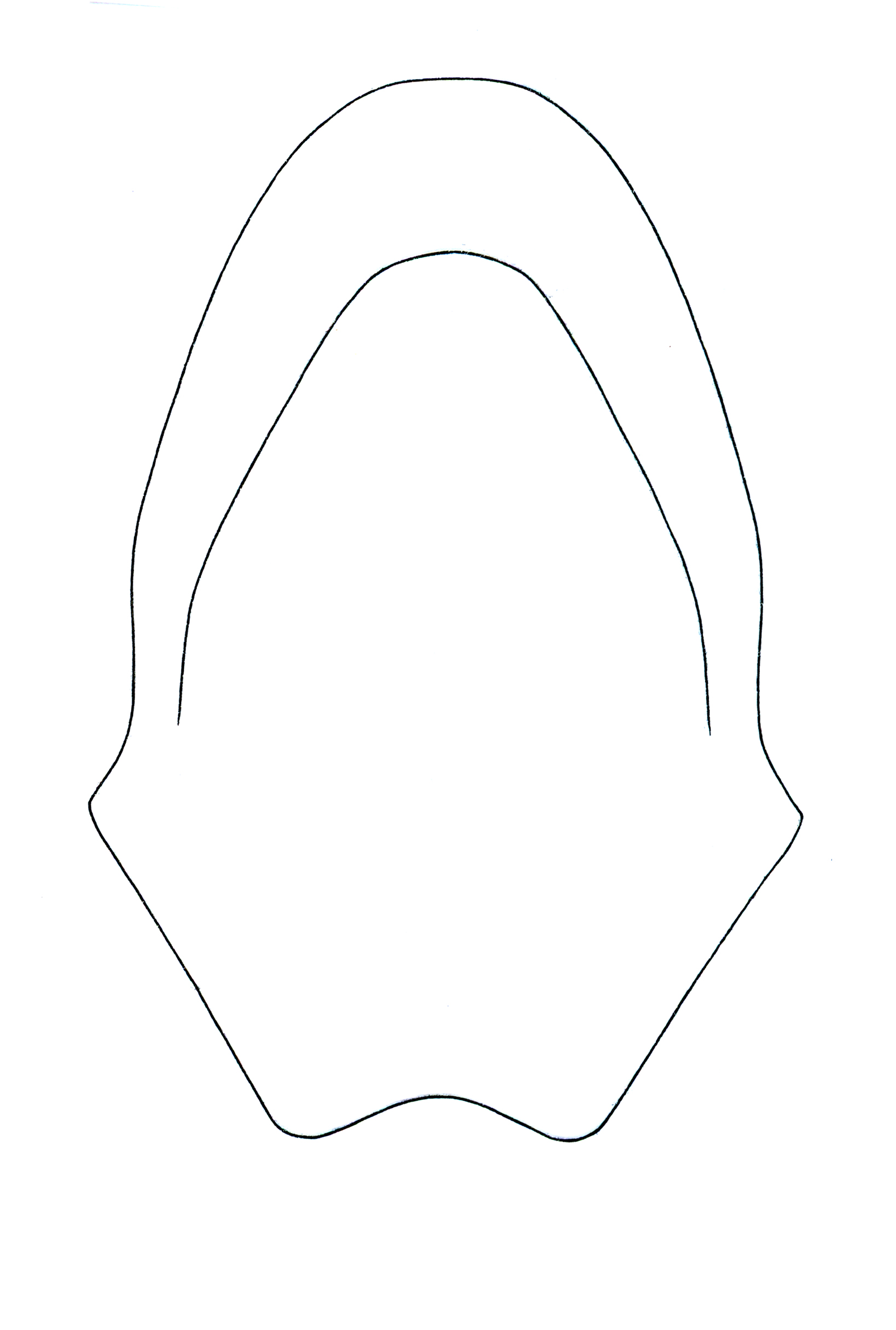 Adoretus (Adoretus) legalli ht P.jpg