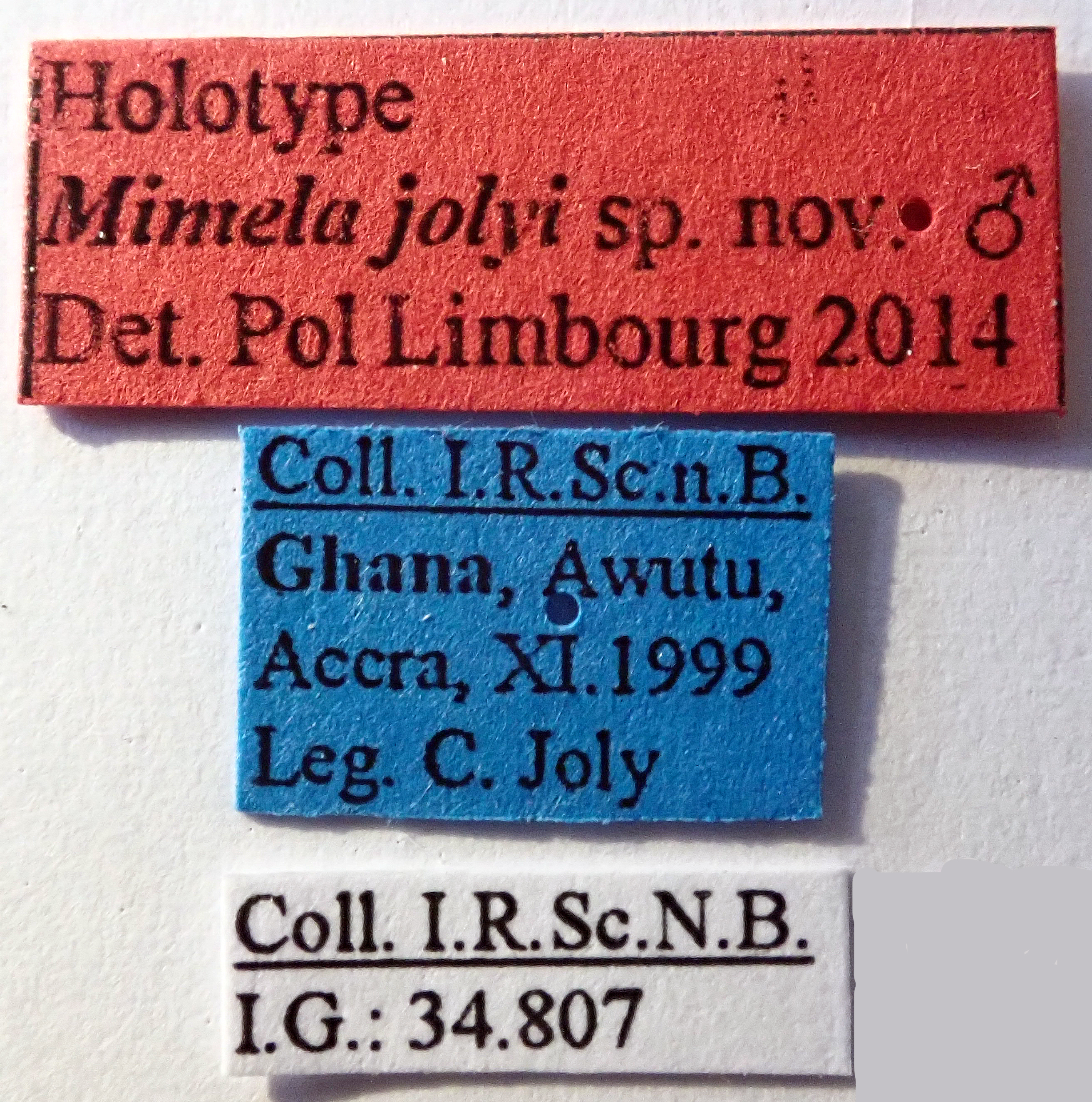 Mimela jolyi Ht labels