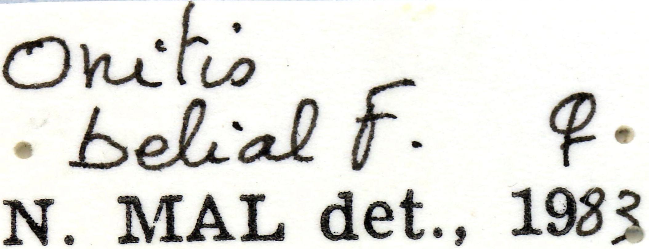 Onitis belial label female.jpg