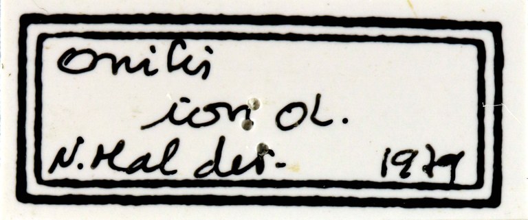 Onitis ion lables 63421 male.jpg Onitis ion lables 63421 male.jpg