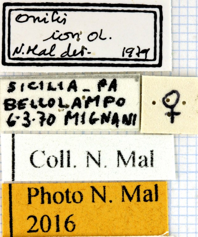 Onitis ion lables 63421.jpg Onitis ion lables 63421.jpg