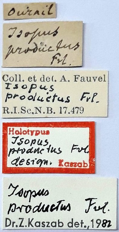 Isopus productus Ht labels