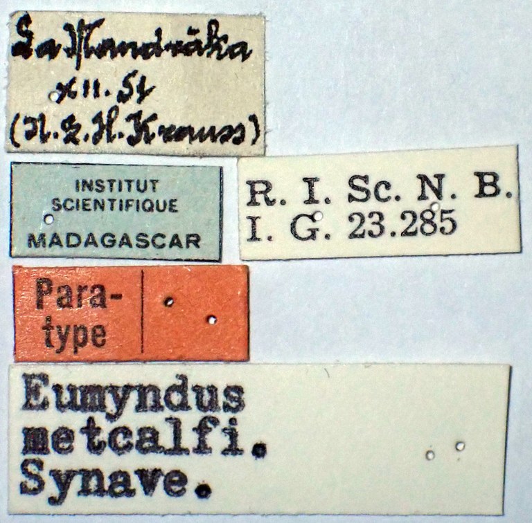 Eumyndus metcalfi pt labels