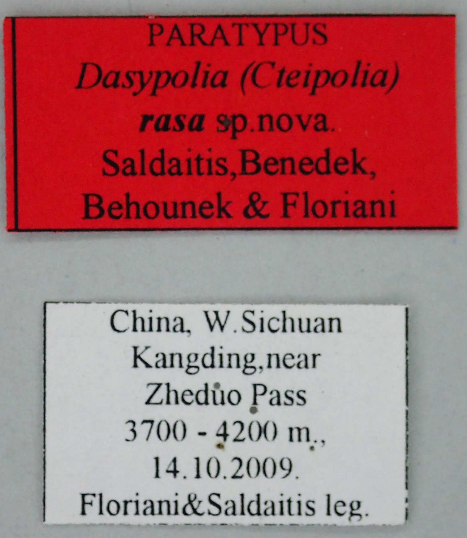 Dasypolia rasa Pt Labels.jpg