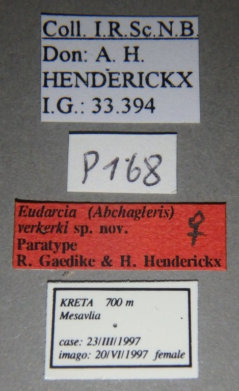 Eudarcia (Abchagleris) verkerki Paratype Female Labels.jpg
