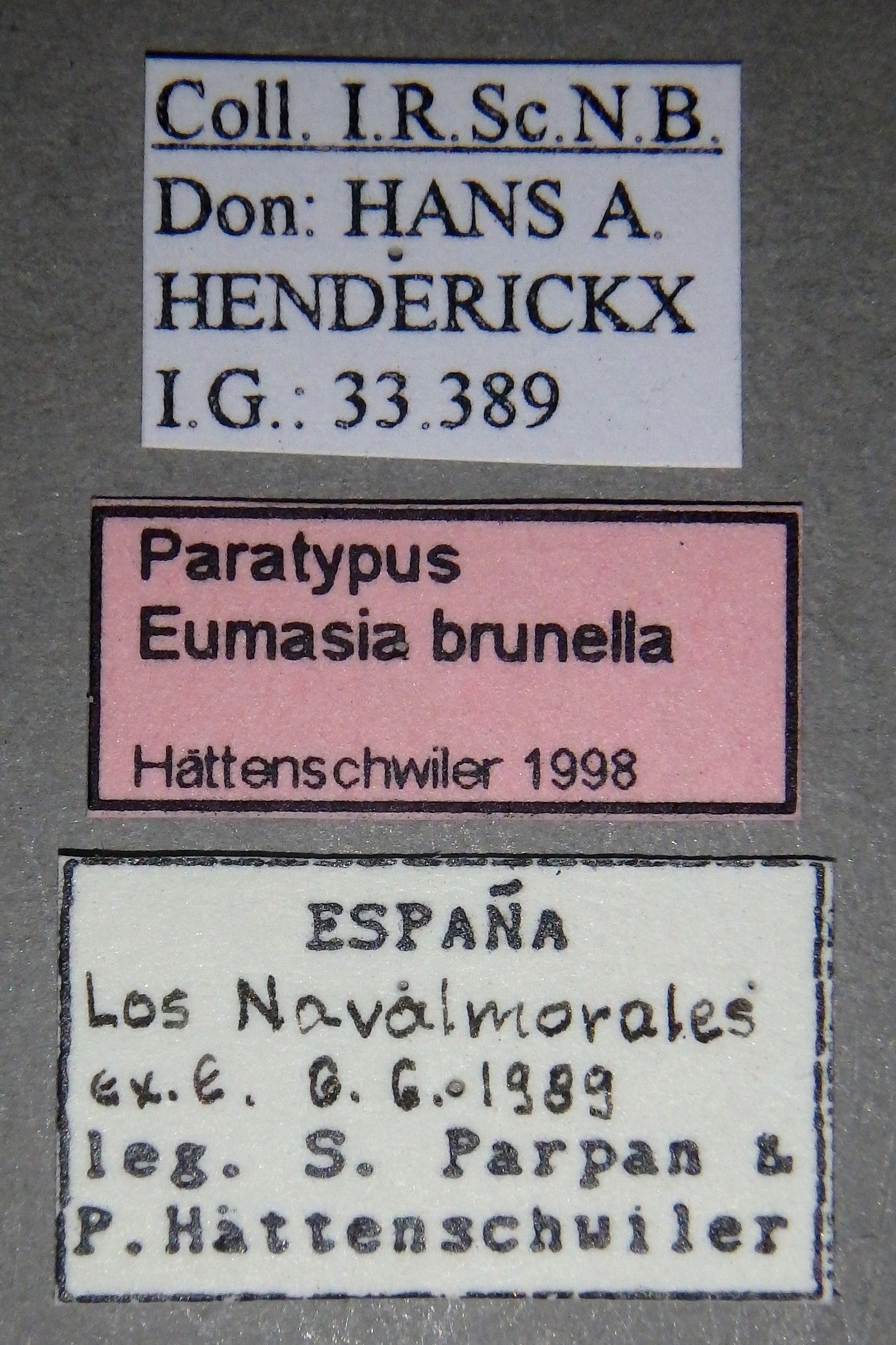 Eumasia brunella Paratype Labels.jpg