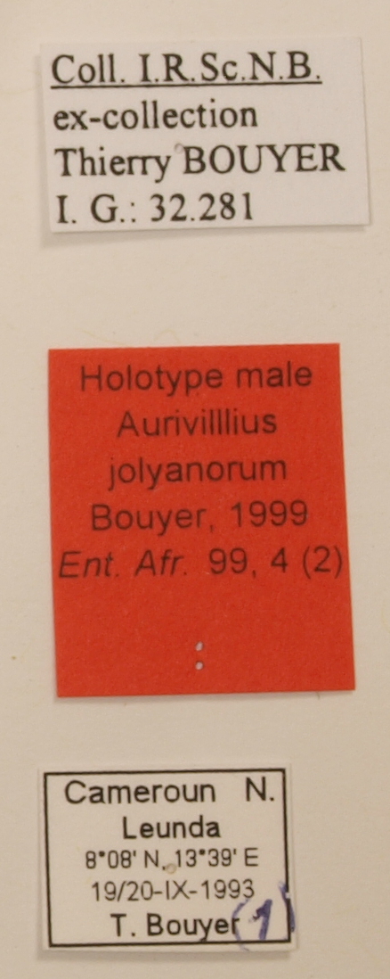 Aurivillius jolyanorum M Lb only.JPG