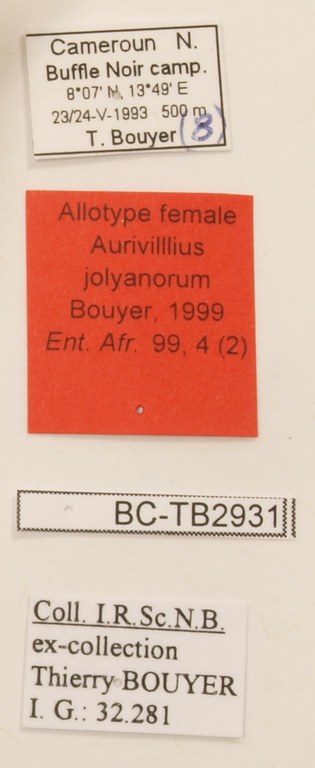 Aurivillius jolyanorum F Allotype Labels.jpg
