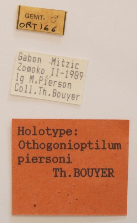 Labels Orthogonioptilum piersoni  HOLOTYPE M.jpg