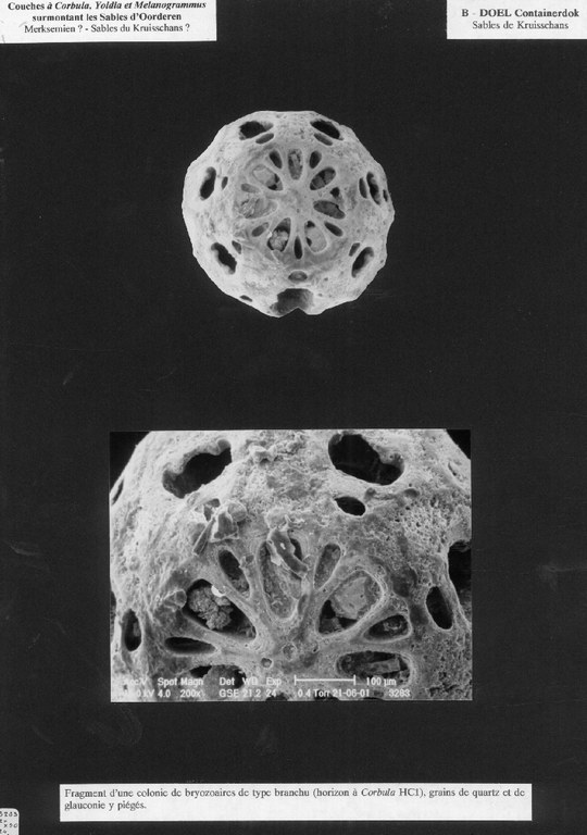 014e0269_fig11.jpg