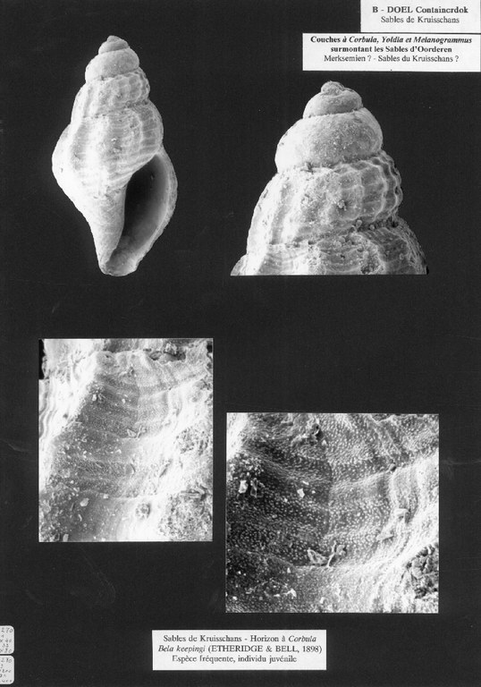 014e0269_fig21.jpg