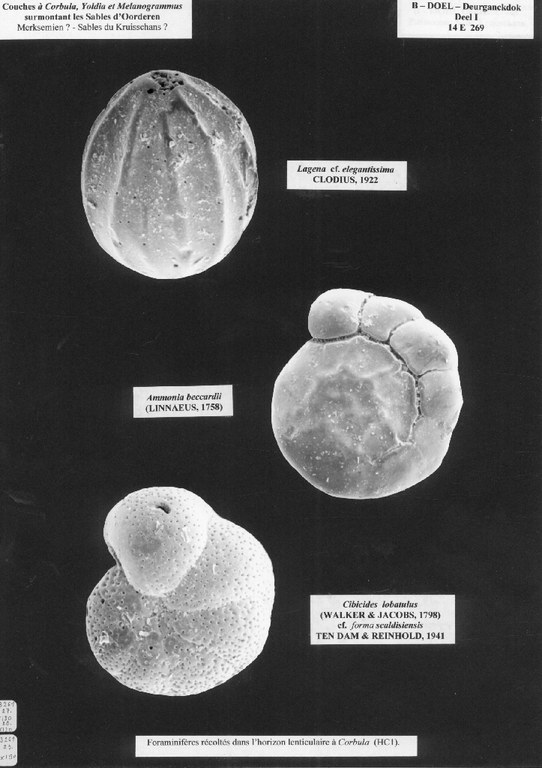 014e0269_fig4.jpg